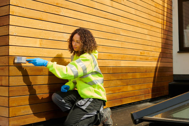 Best Siding Maintenance  in Quincy, MA